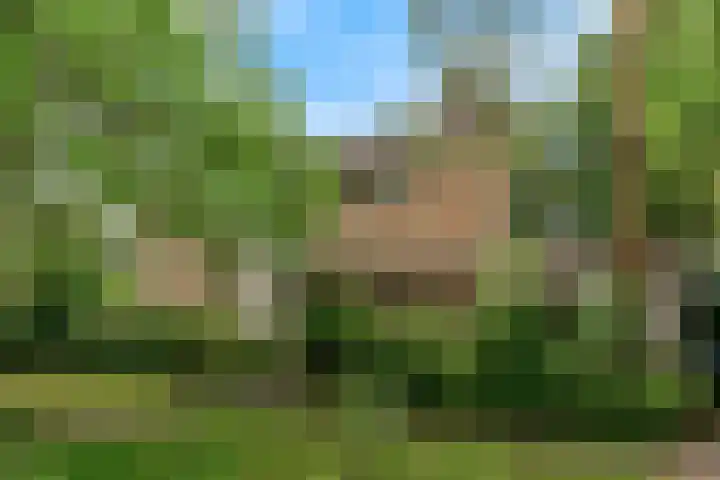 Den Hamstraat 2 Vleuten thumbnail 36