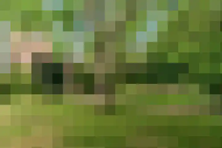 Den Hamstraat 2 Vleuten thumbnail 37