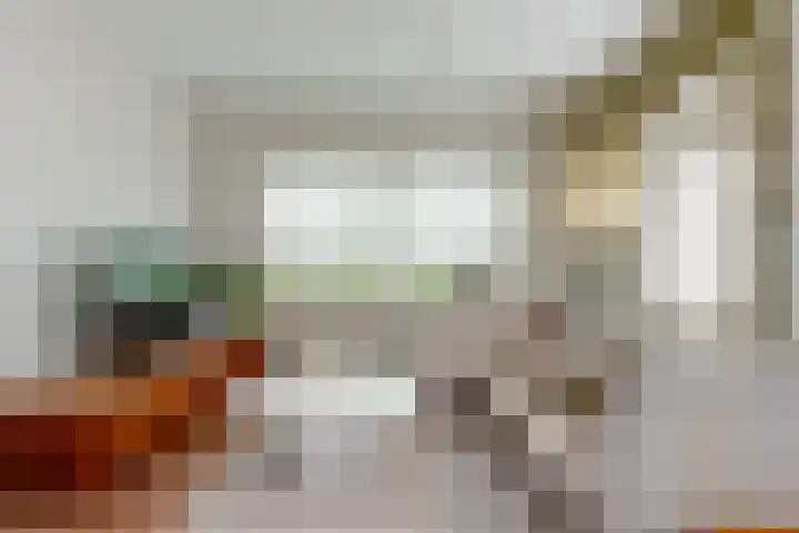 Den Hamstraat 2 Vleuten thumbnail 9