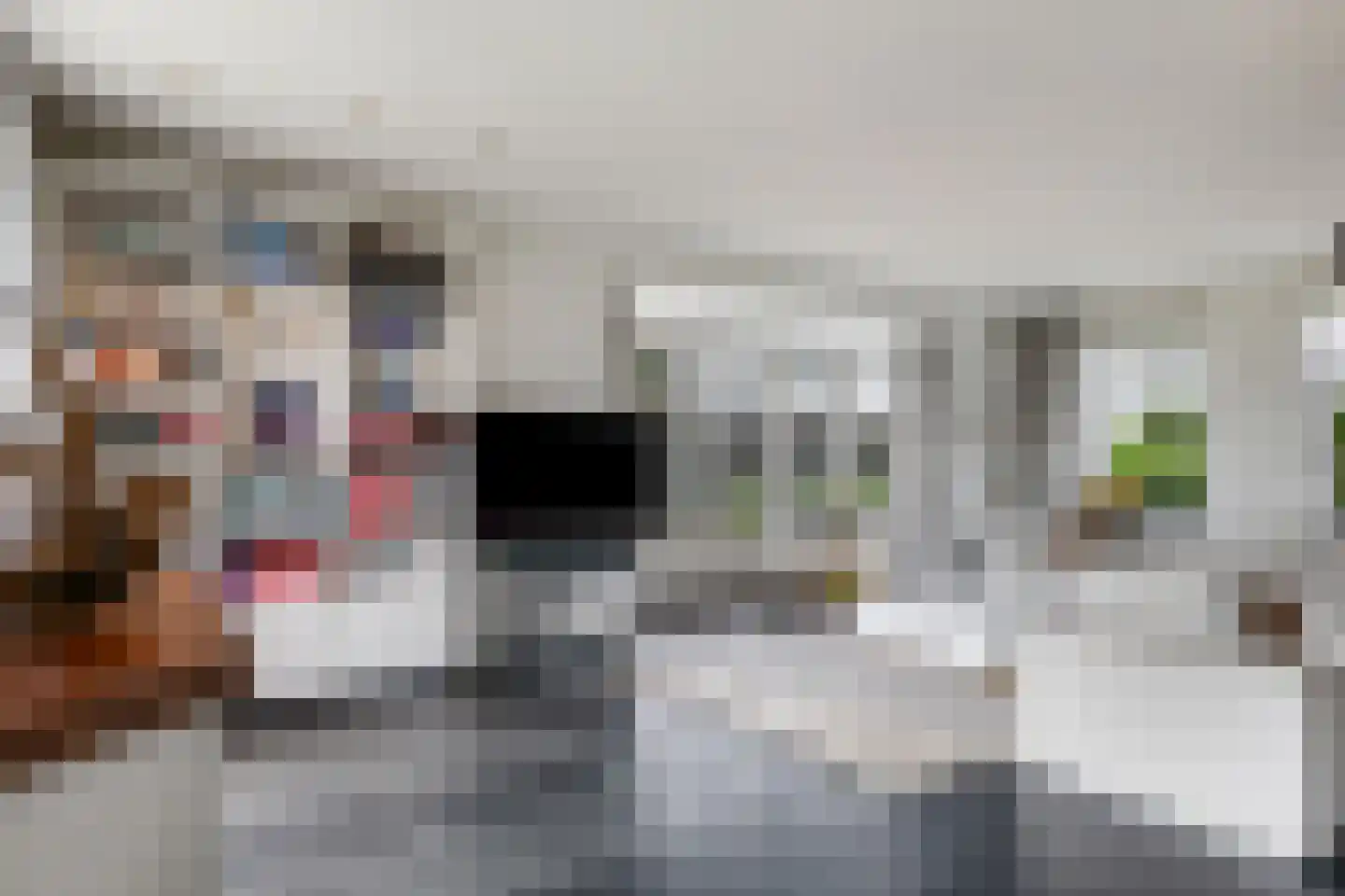 Den Hamweg 1 a Beek thumbnail 18