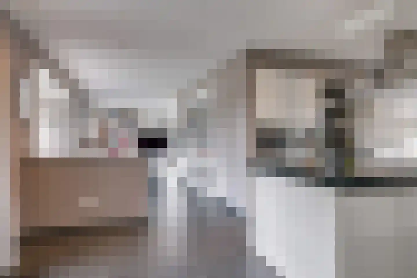Den Hamweg 1 a Beek thumbnail 24