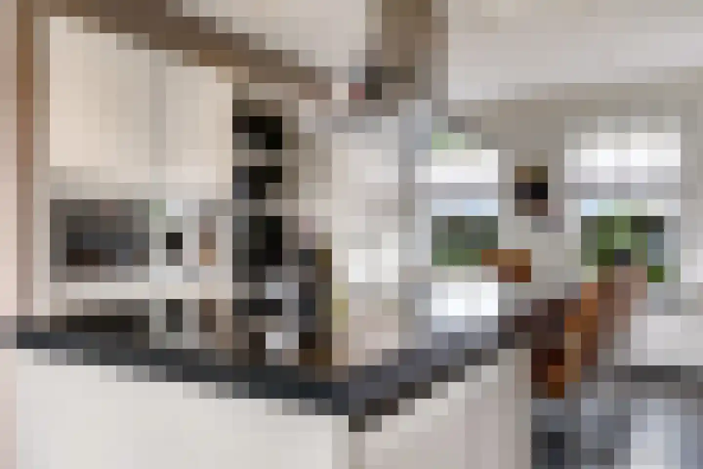 Den Hamweg 1 a Beek thumbnail 26