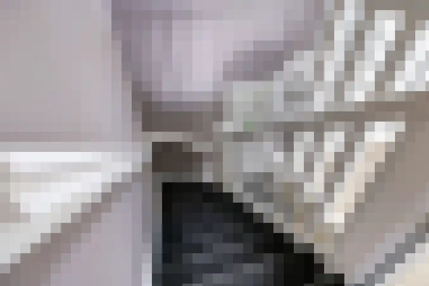 Den Hamweg 1 a Beek thumbnail 30