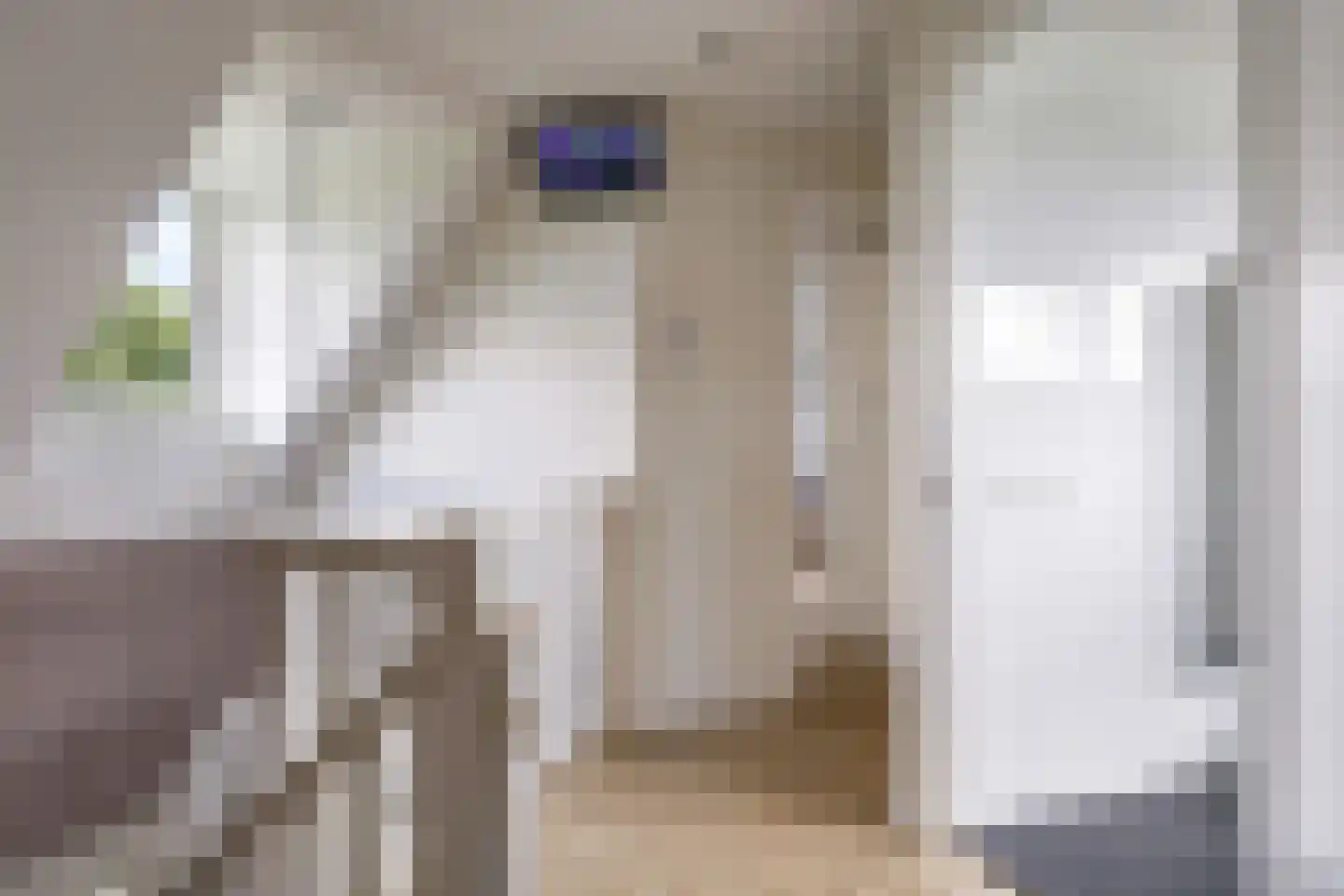 Den Hamweg 1 a Beek thumbnail 31