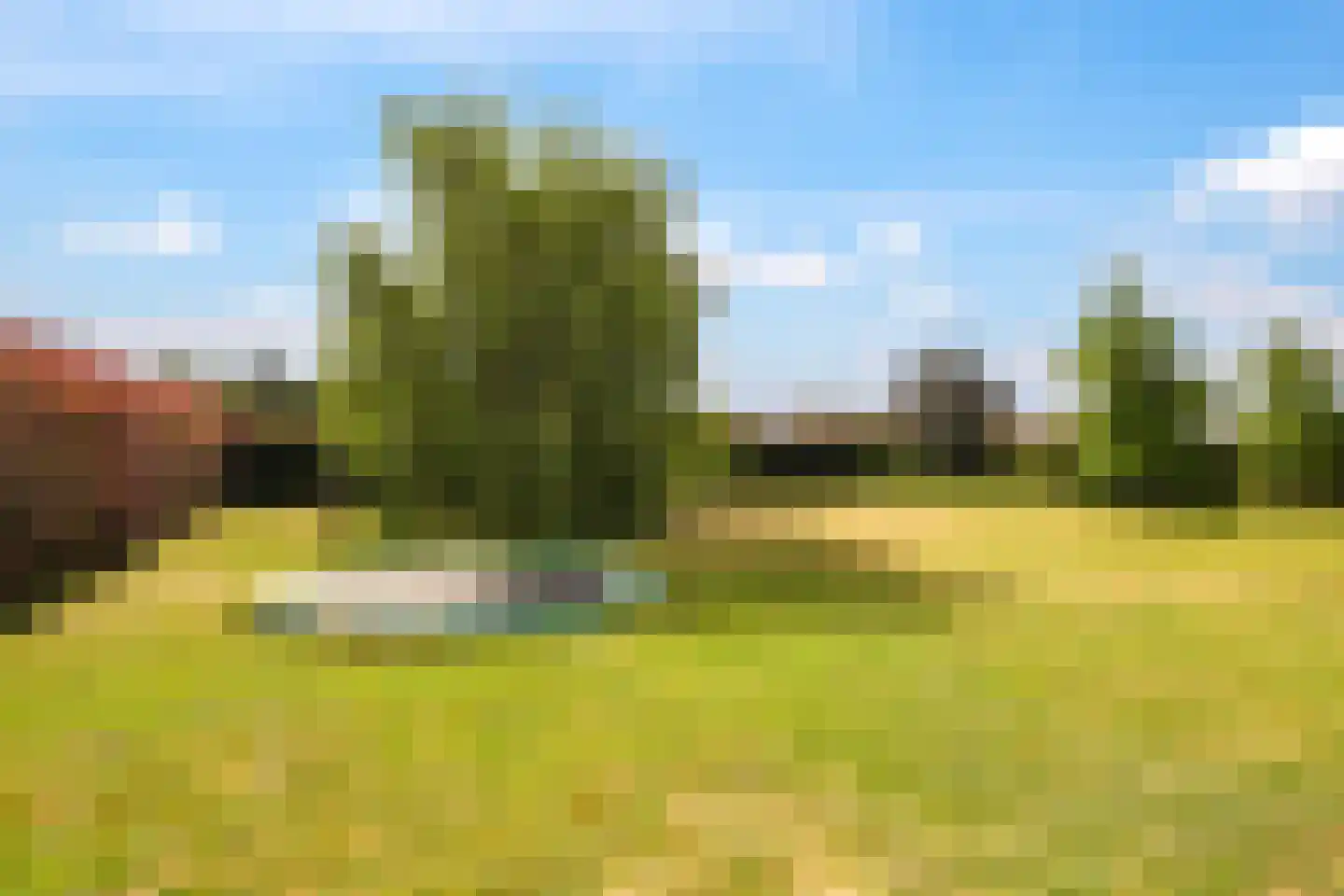 Den Hamweg 1 a Beek thumbnail 59