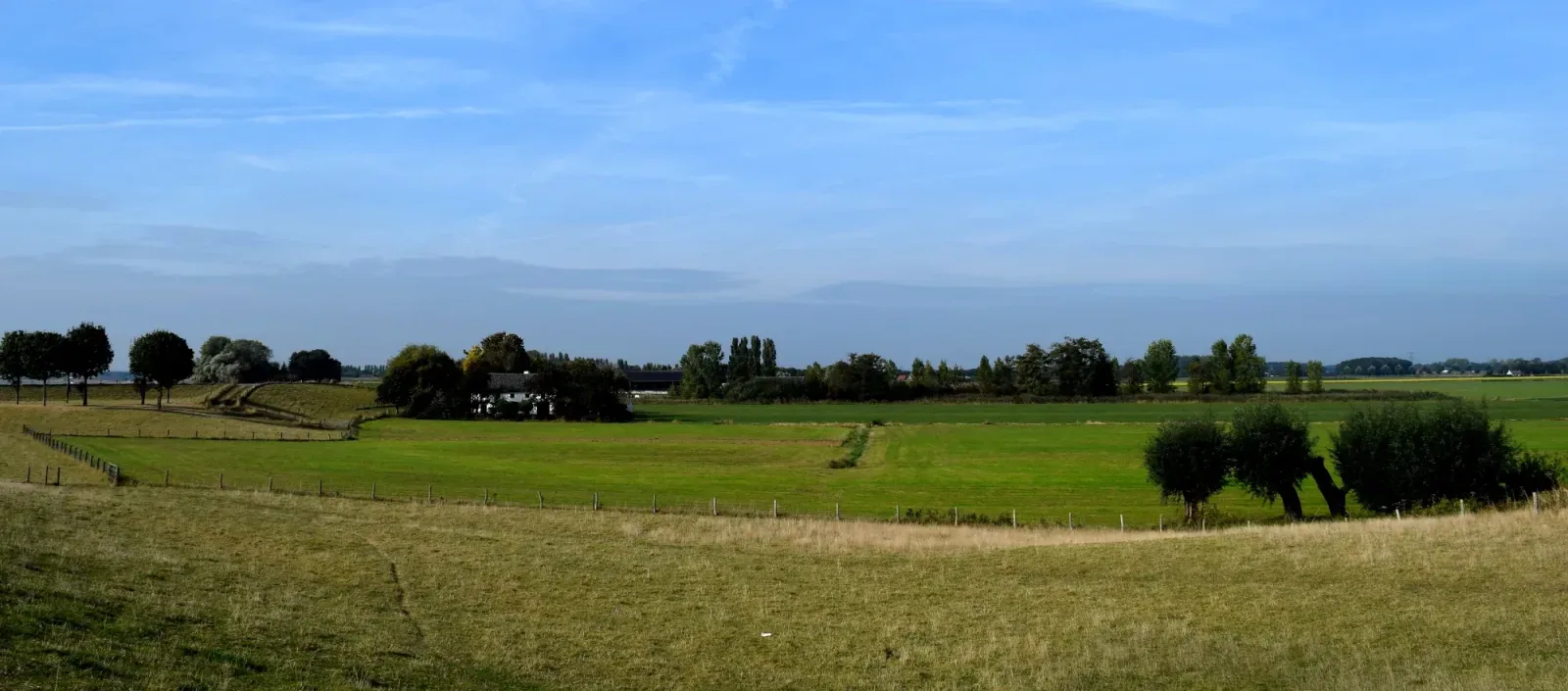 Mannschaftsfoto von Den Hartog Makelaardij
