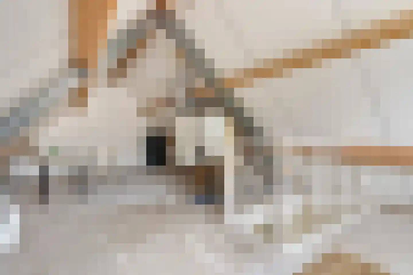 Den Herd 1 Heusden thumbnail 27
