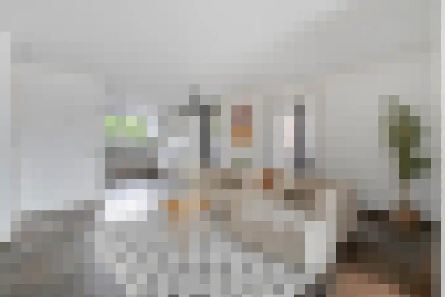 Den Herd 1 Heusden thumbnail 6