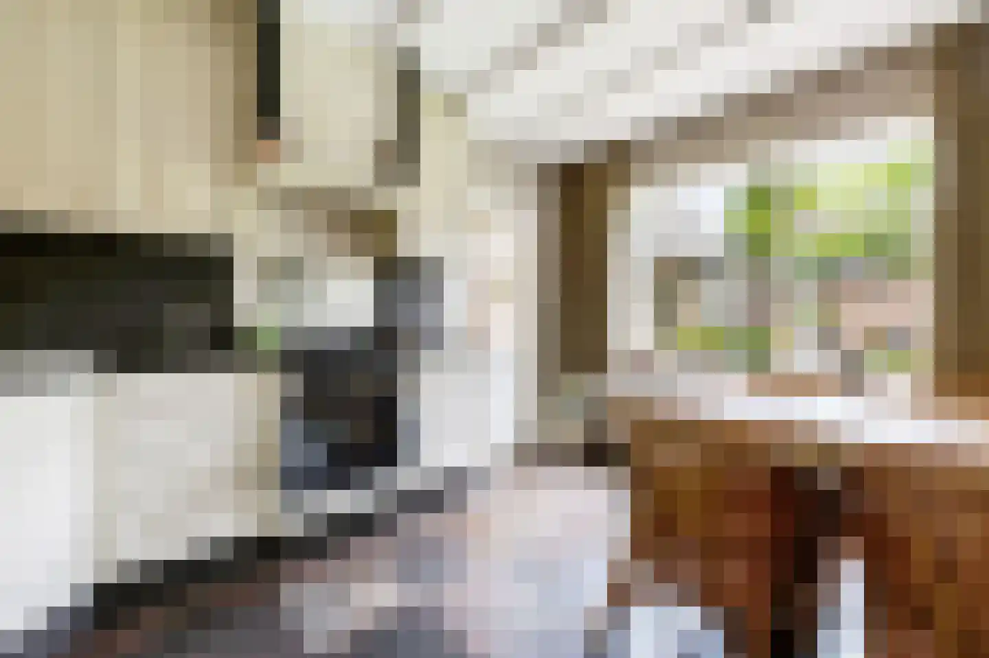 den Herd 1 Reusel thumbnail 12