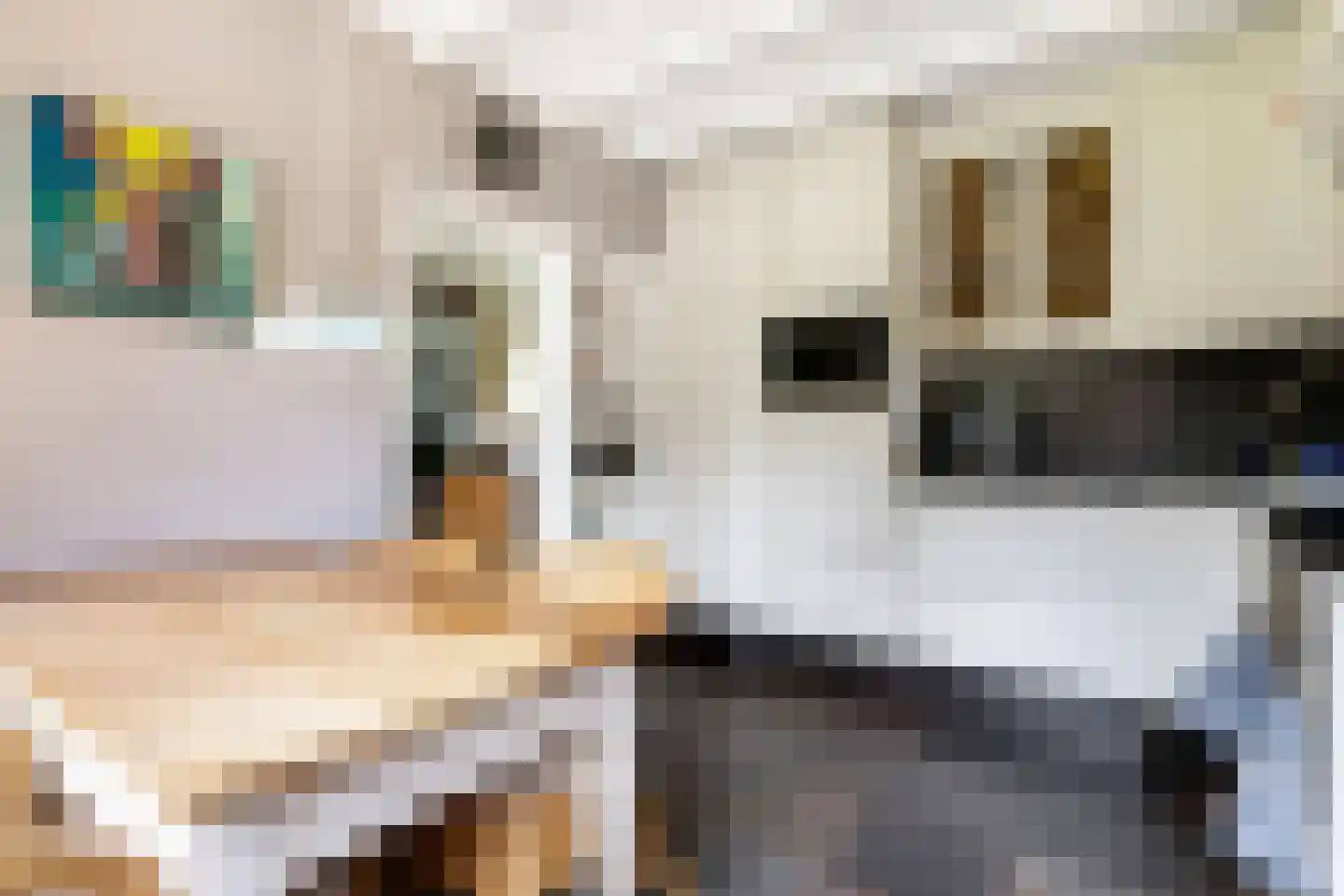 den Herd 1 Reusel thumbnail 13