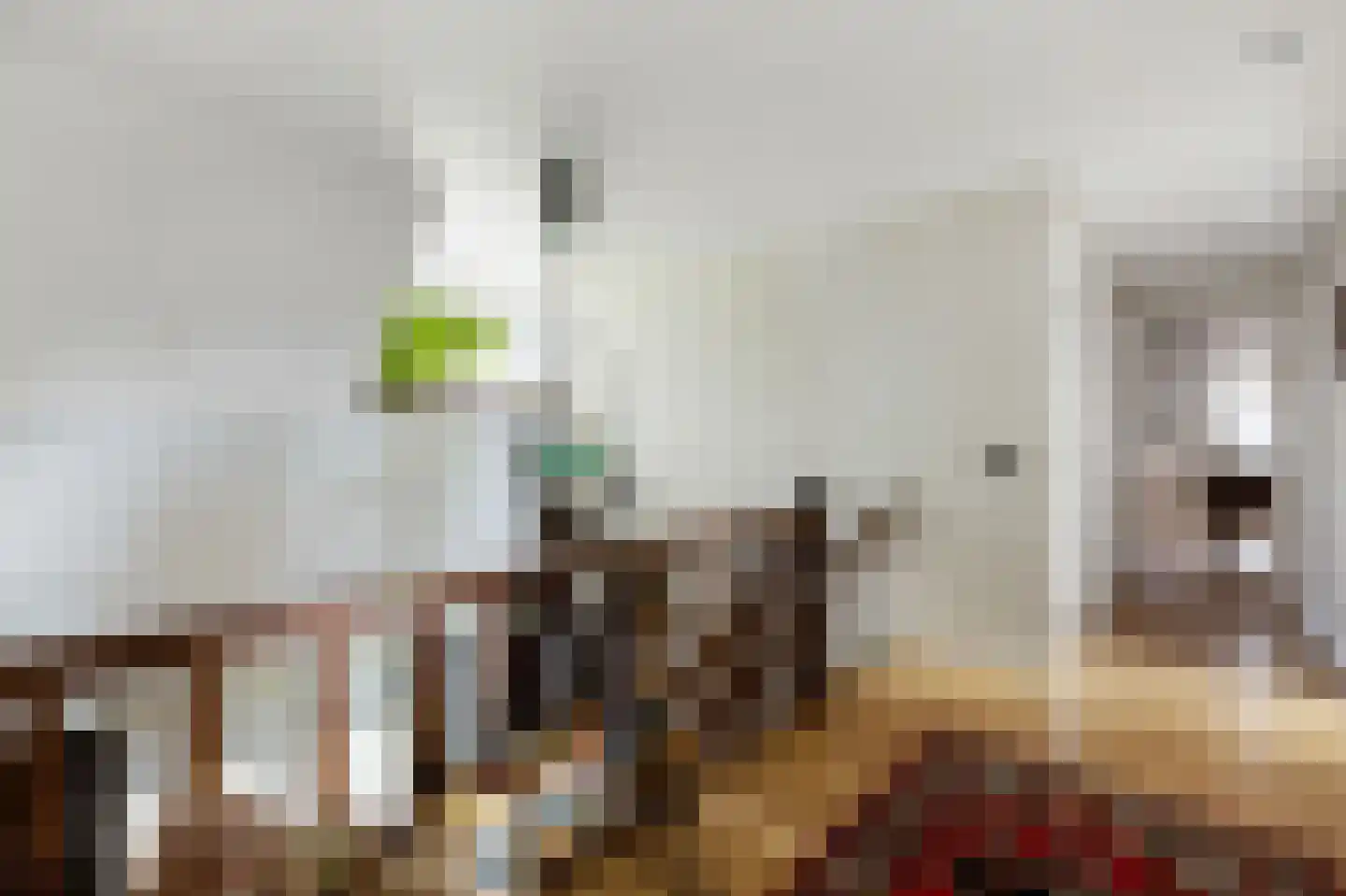den Herd 1 Reusel thumbnail 15