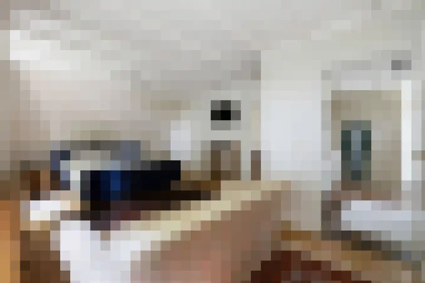 den Herd 1 Reusel thumbnail 17