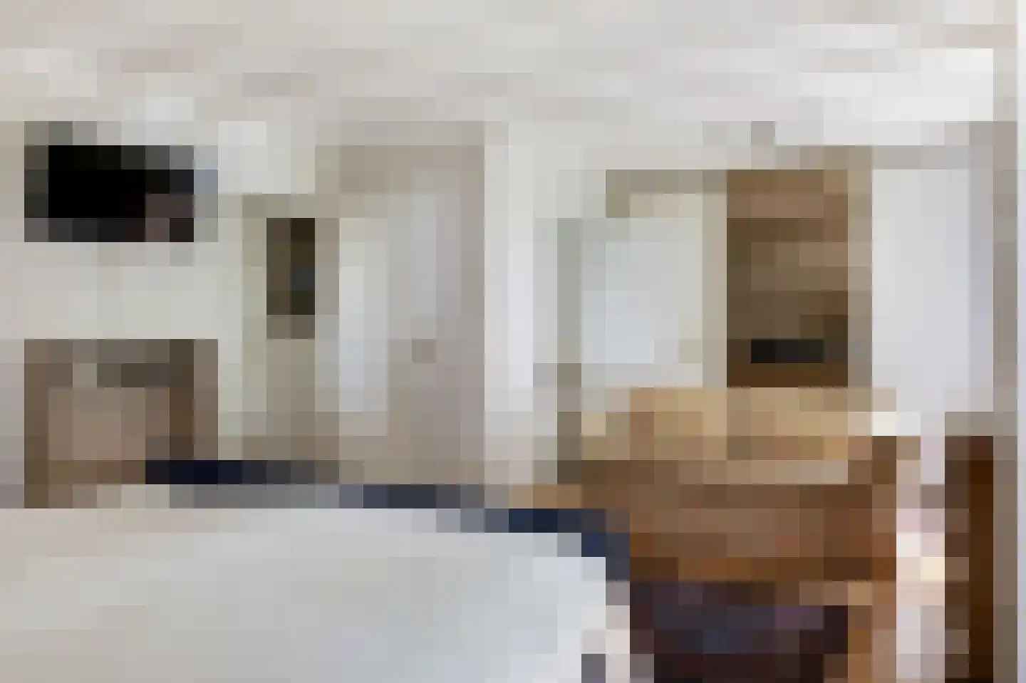 den Herd 1 Reusel thumbnail 19