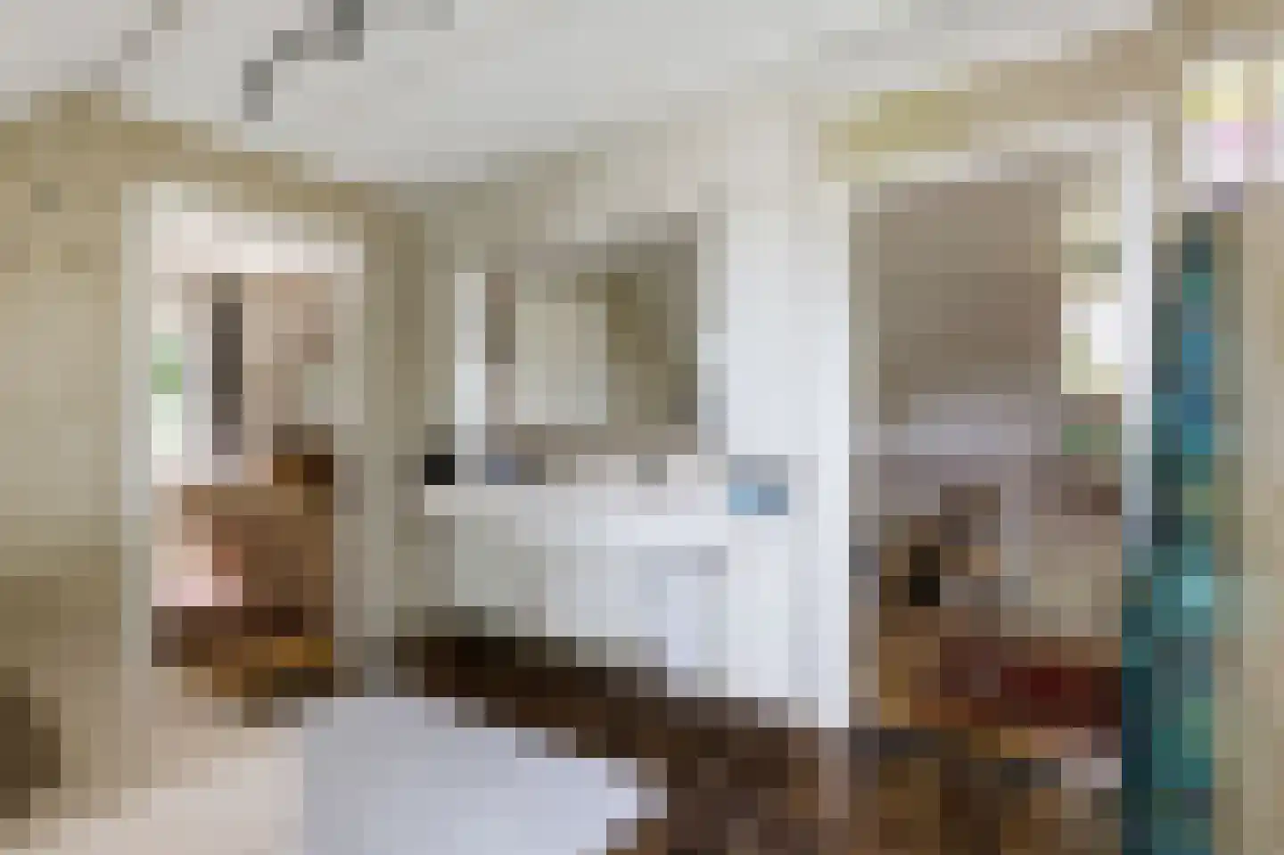 den Herd 1 Reusel thumbnail 20