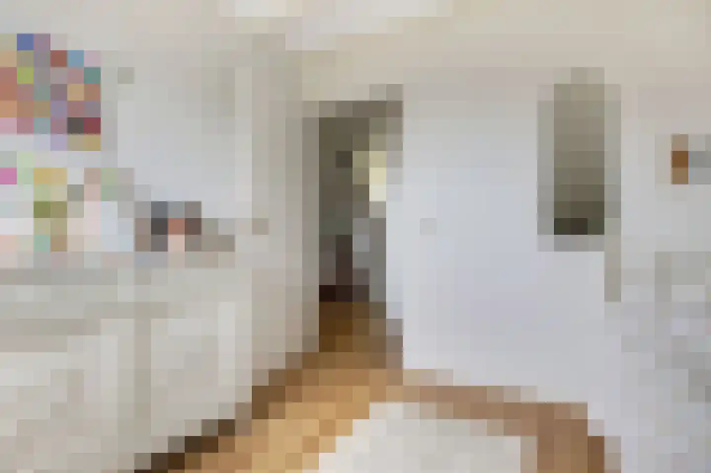 den Herd 1 Reusel thumbnail 24