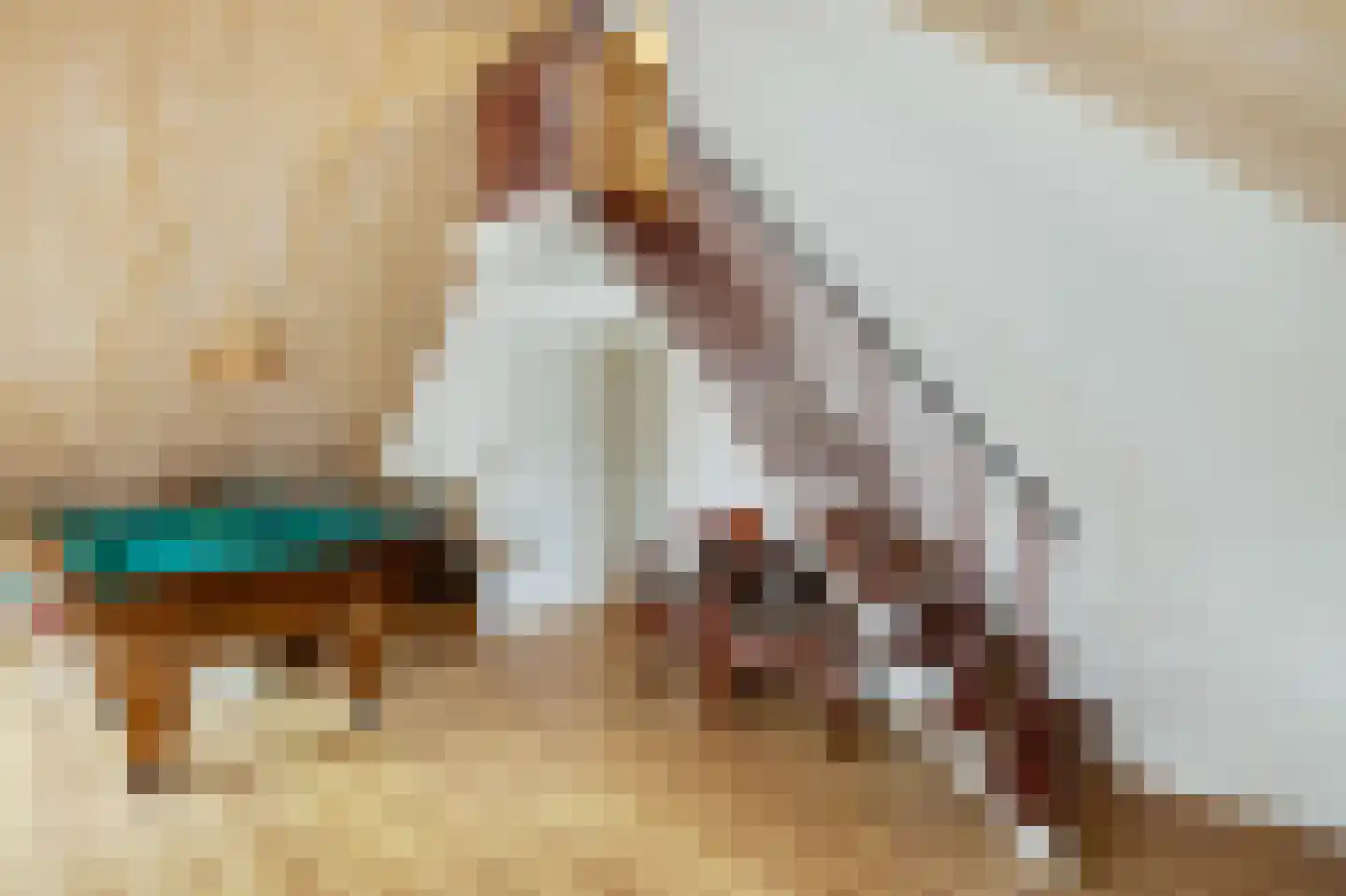 den Herd 1 Reusel thumbnail 27