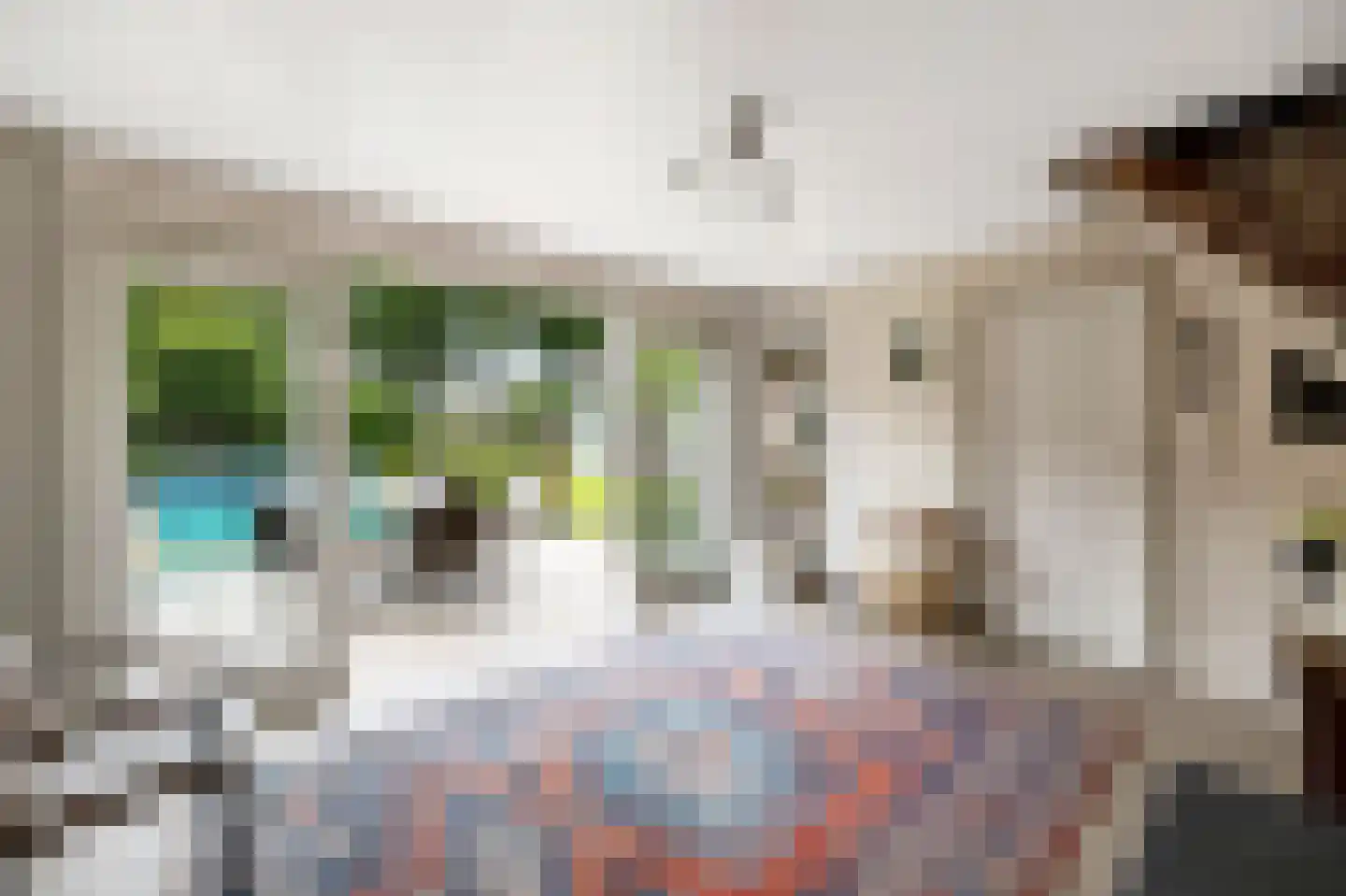 den Herd 1 Reusel thumbnail 34