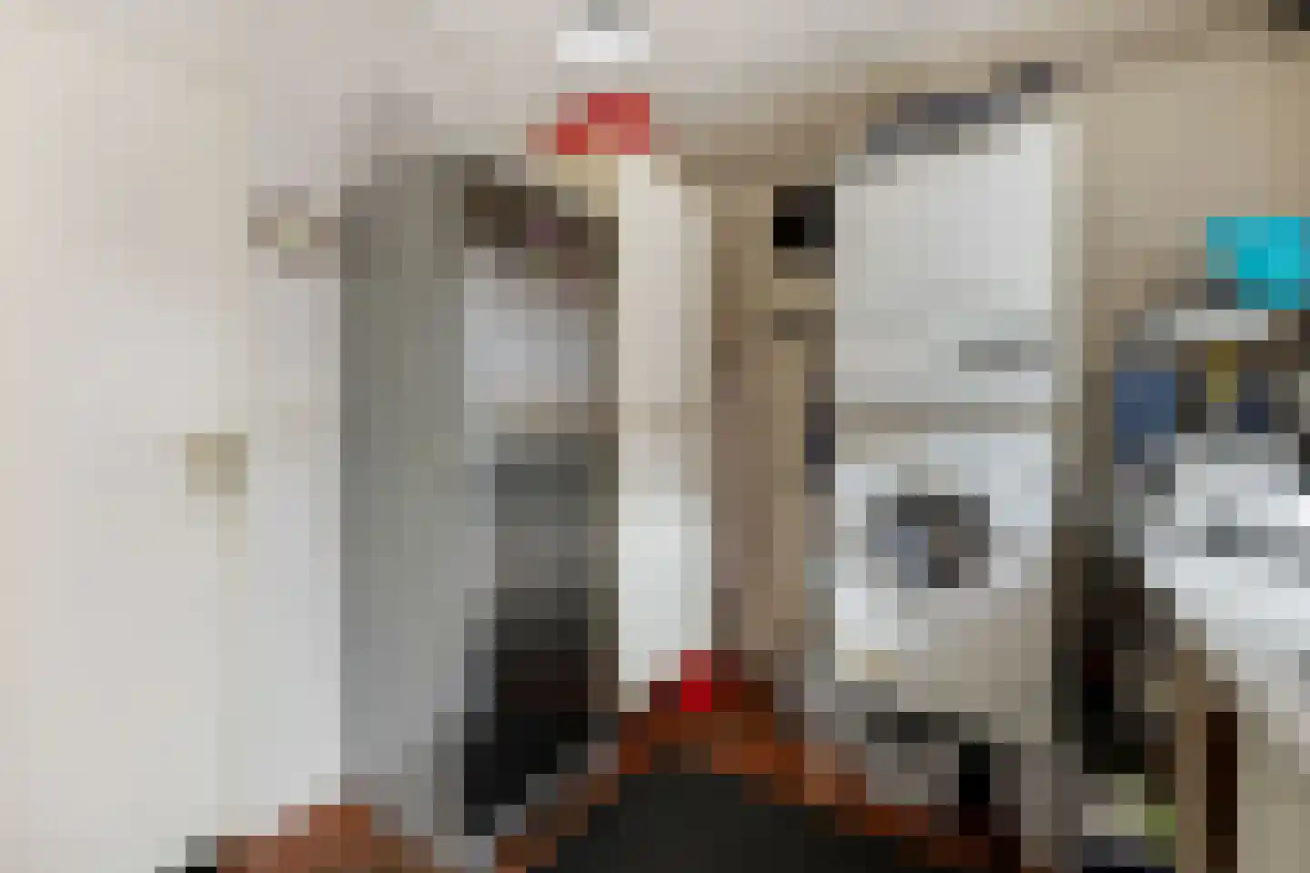 den Herd 1 Reusel thumbnail 38