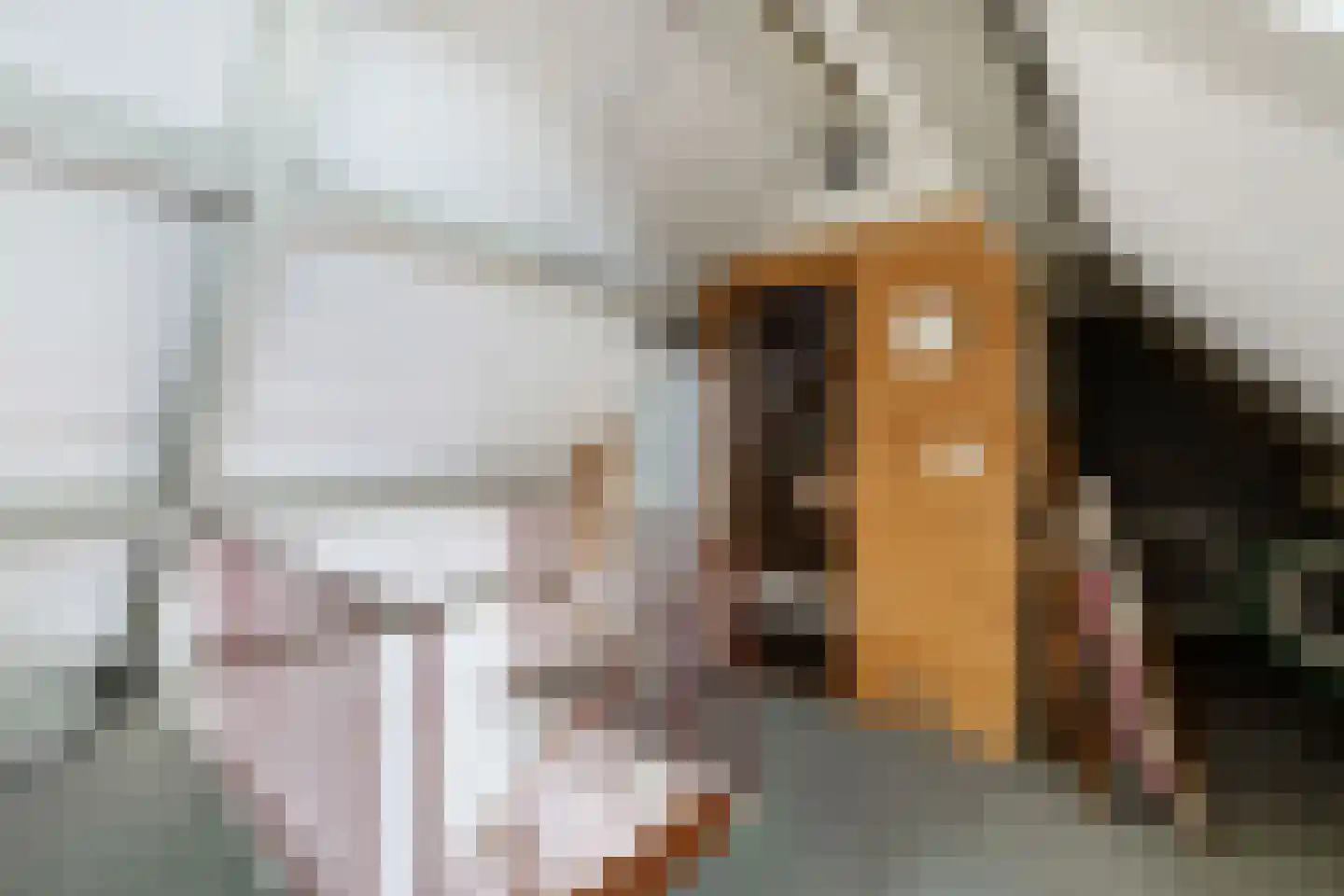 den Herd 1 Reusel thumbnail 40