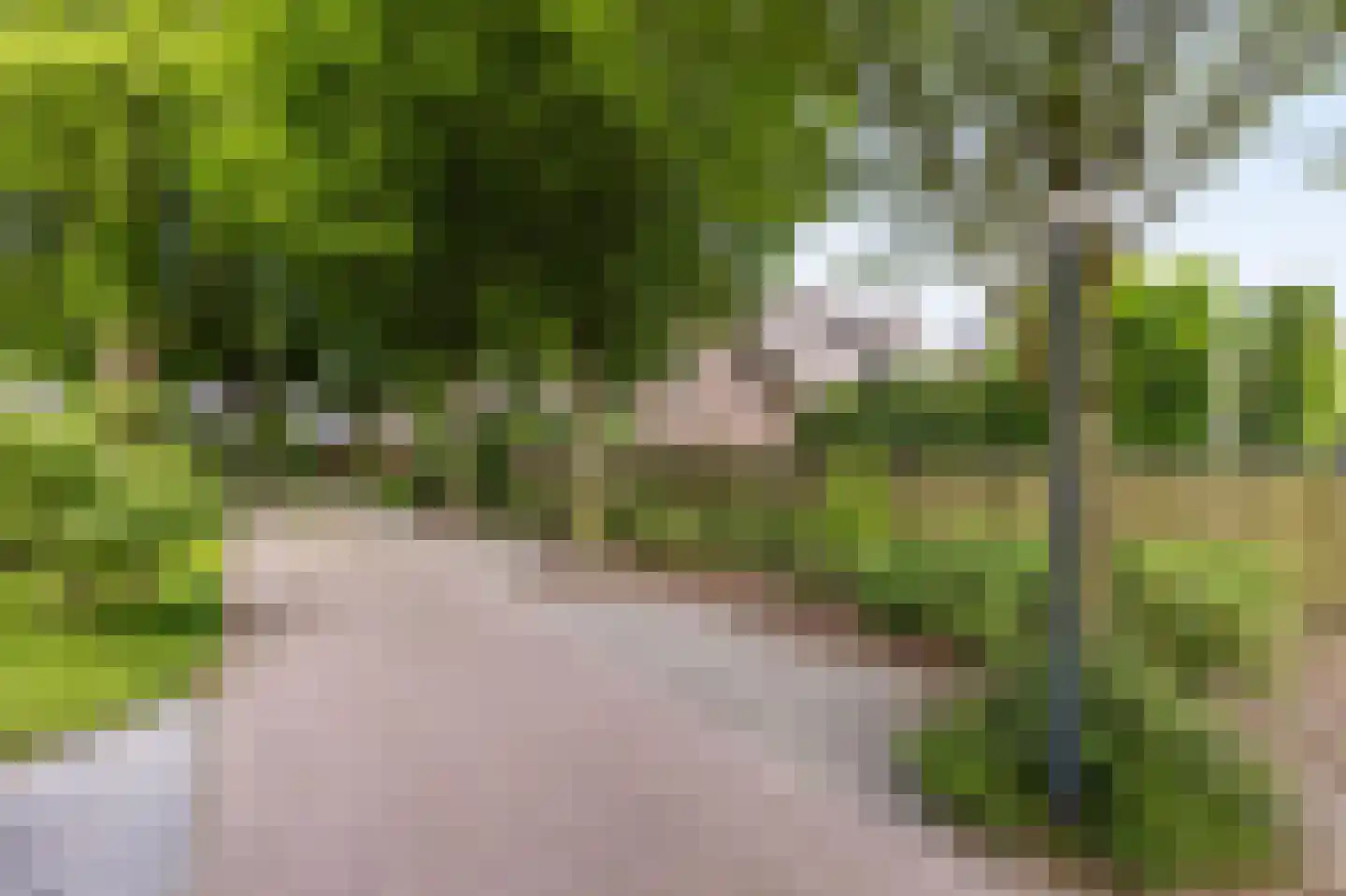 den Herd 1 Reusel thumbnail 41