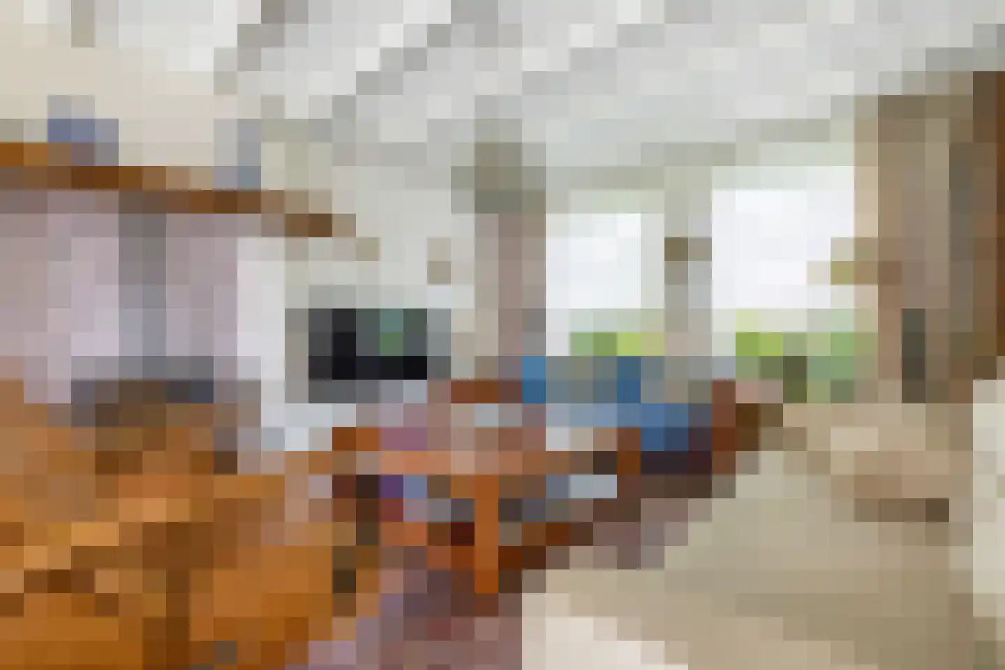 den Herd 1 Reusel thumbnail 8