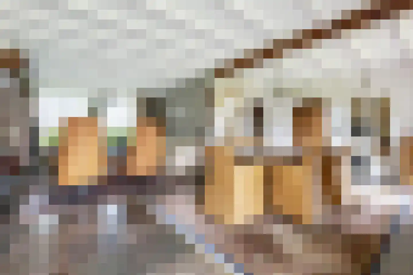 den Herd 1 Reusel thumbnail 9