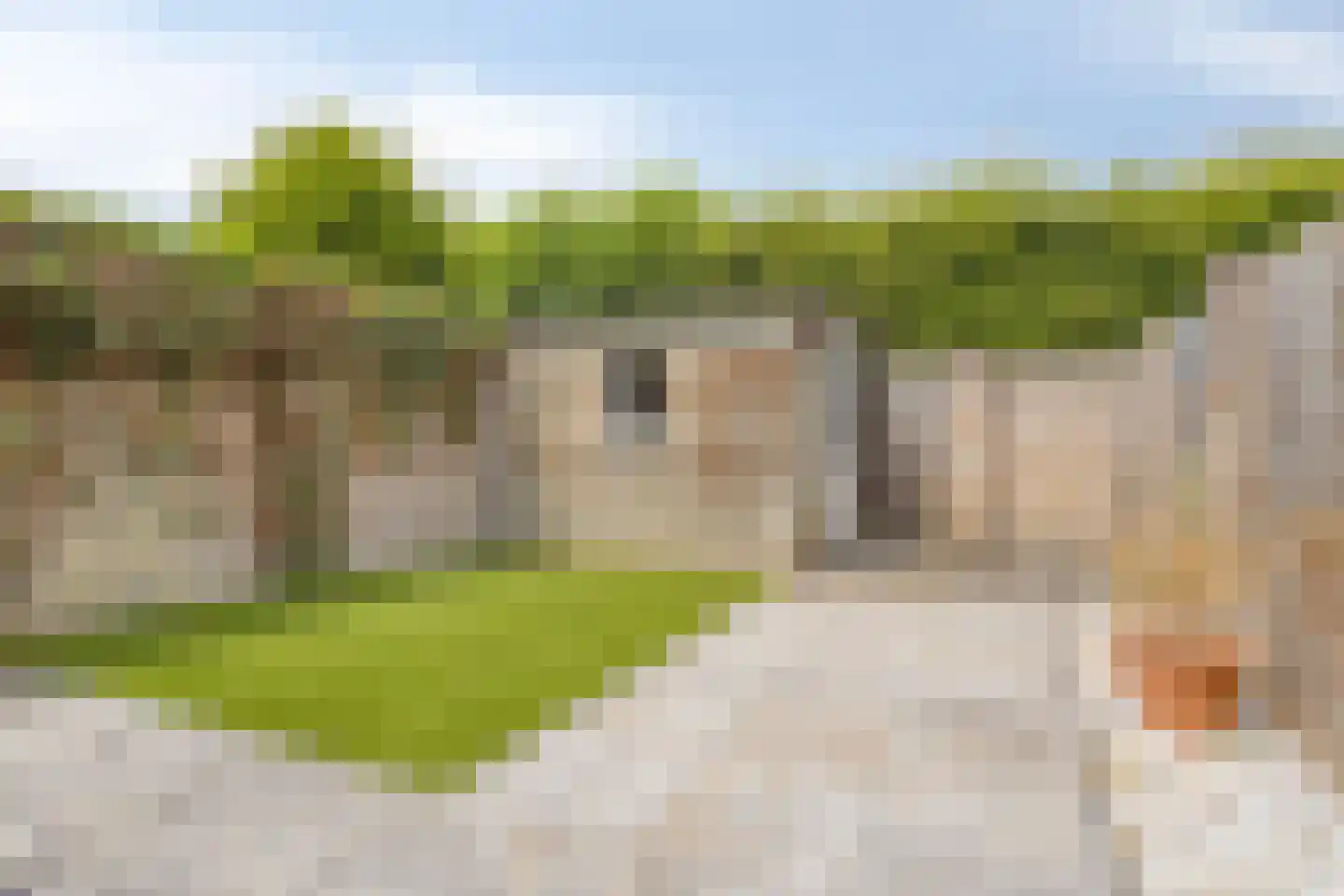 Den Herd 12 Berkel-Enschot thumbnail 17
