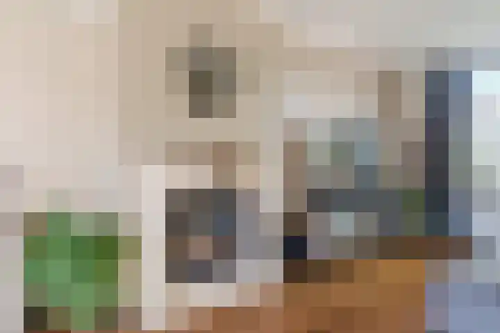 den Herd 2 Reusel thumbnail 10