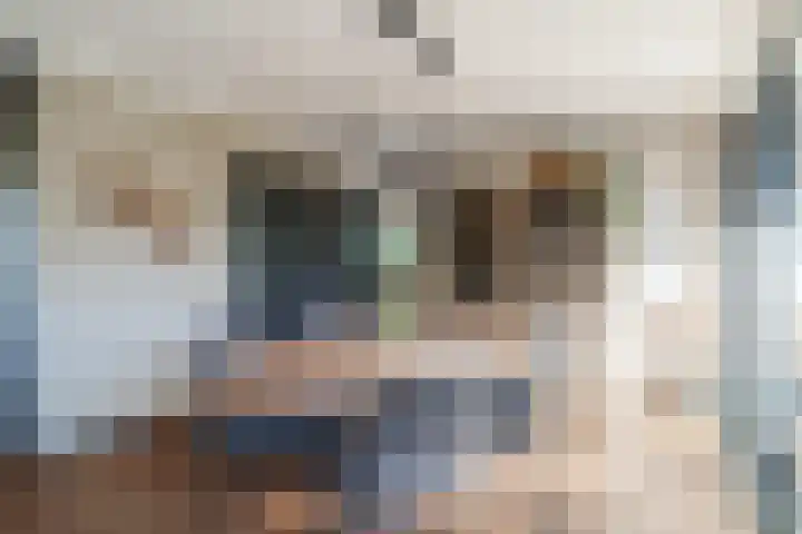 den Herd 2 Reusel thumbnail 16