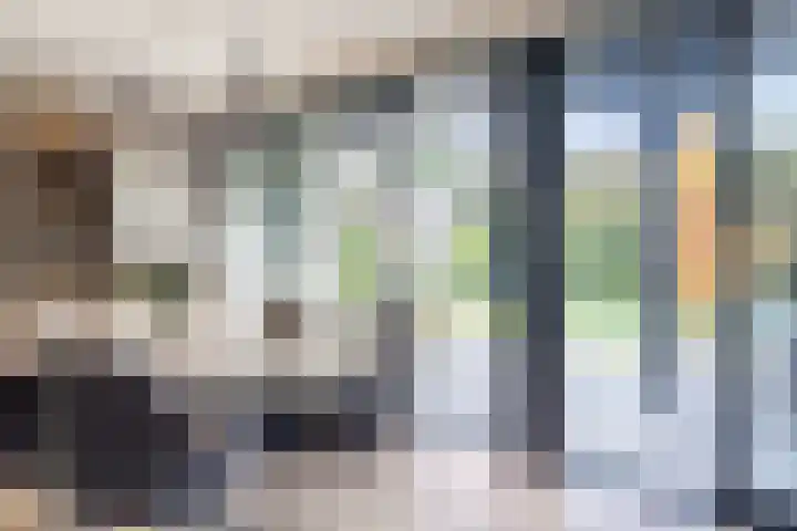 den Herd 2 Reusel thumbnail 17
