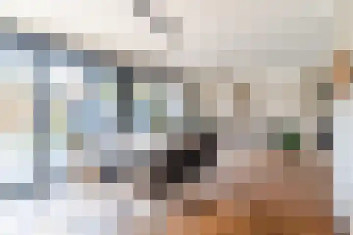 den Herd 2 Reusel thumbnail 19