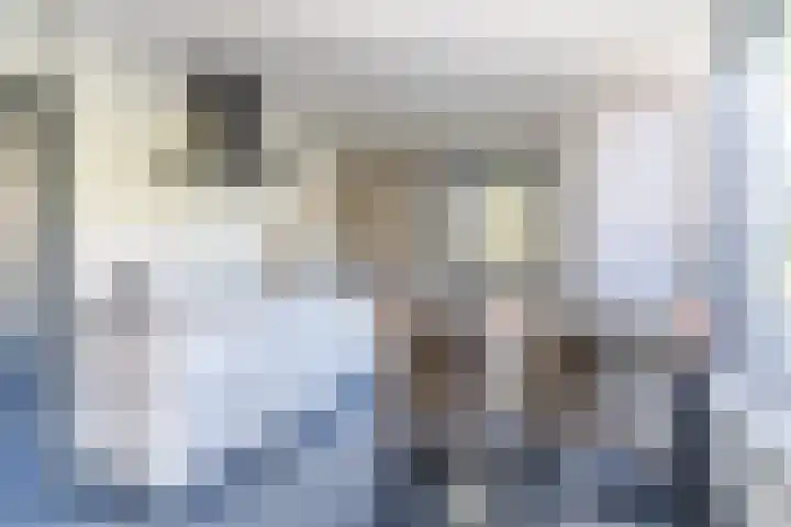 den Herd 2 Reusel thumbnail 21