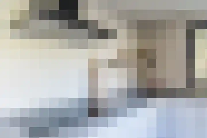 den Herd 2 Reusel thumbnail 22