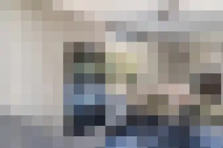 den Herd 2 Reusel thumbnail 23