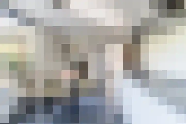 den Herd 2 Reusel thumbnail 24