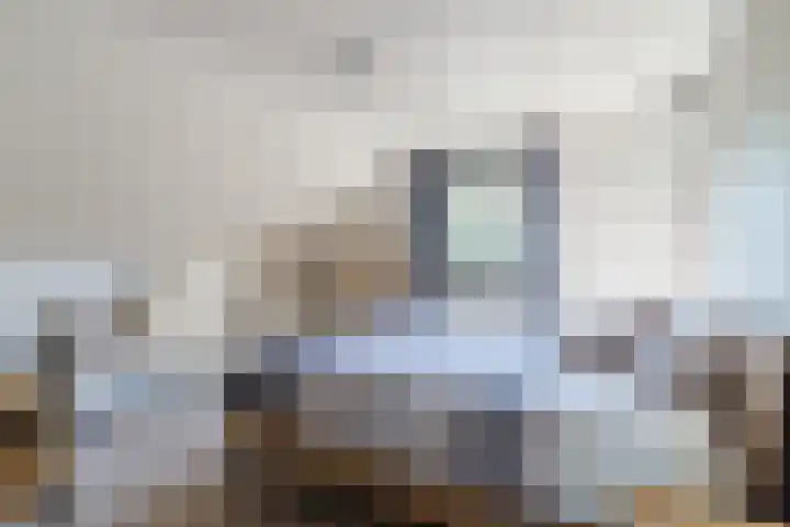 den Herd 2 Reusel thumbnail 32