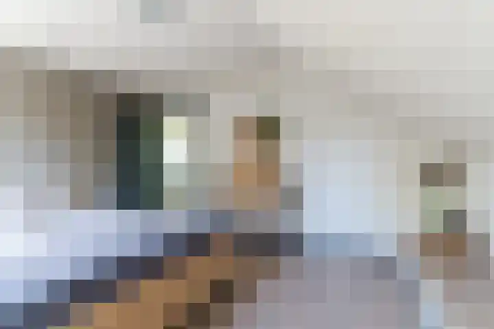 den Herd 2 Reusel thumbnail 35