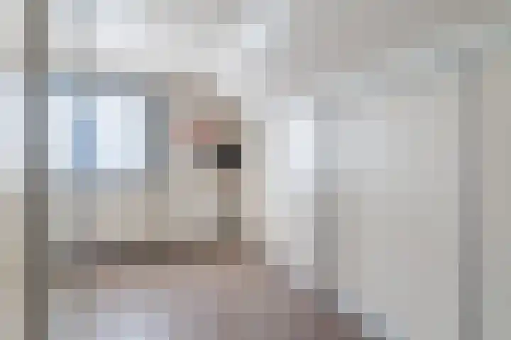 den Herd 2 Reusel thumbnail 40