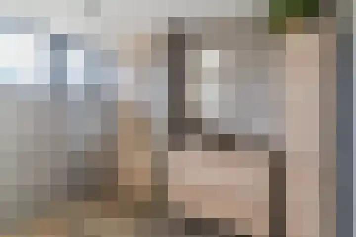 den Herd 2 Reusel thumbnail 43