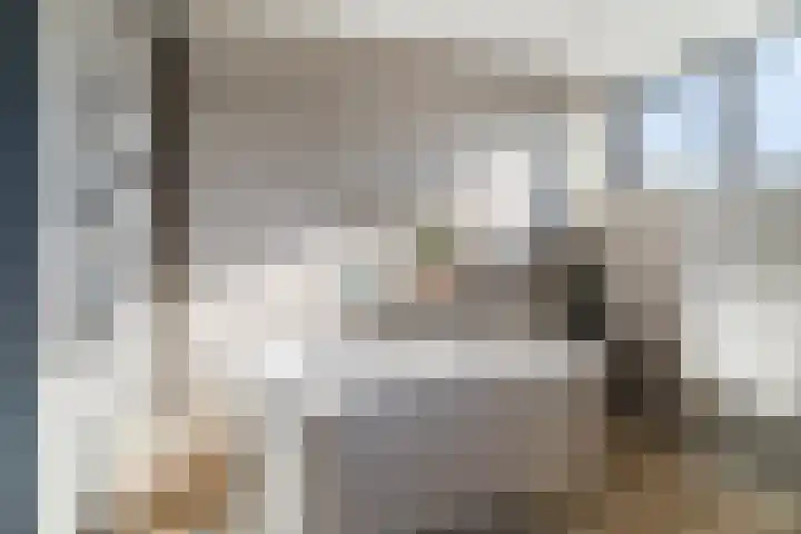 den Herd 2 Reusel thumbnail 44