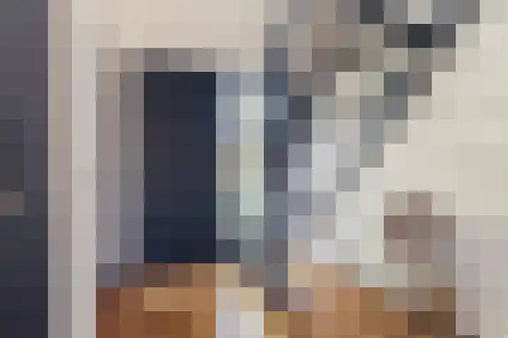 den Herd 2 Reusel thumbnail 5