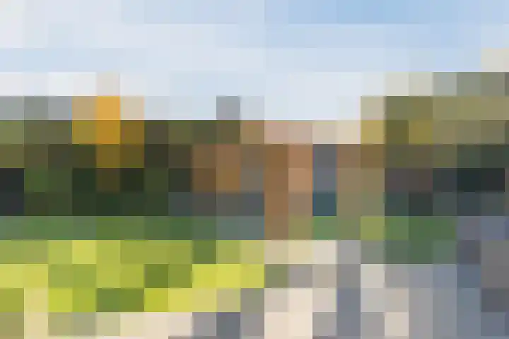 den Herd 2 Reusel thumbnail 50