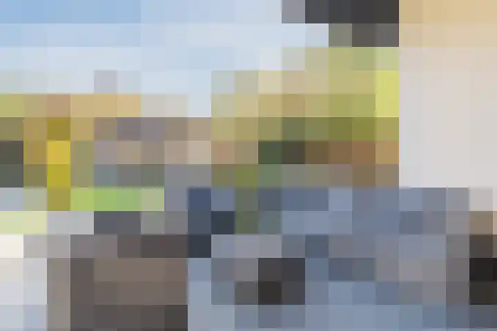 den Herd 2 Reusel thumbnail 52