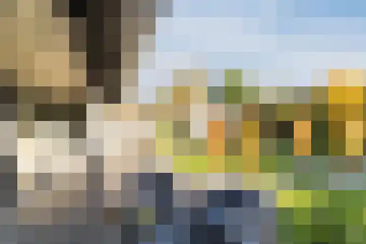 den Herd 2 Reusel thumbnail 53