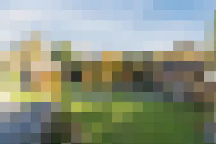 den Herd 2 Reusel thumbnail 54