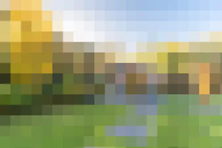 den Herd 2 Reusel thumbnail 60