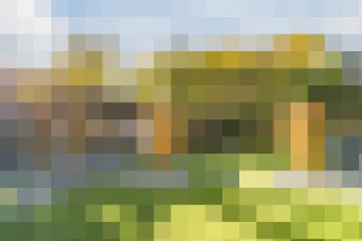 den Herd 2 Reusel thumbnail 61