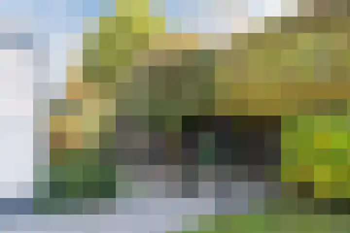 den Herd 2 Reusel thumbnail 62