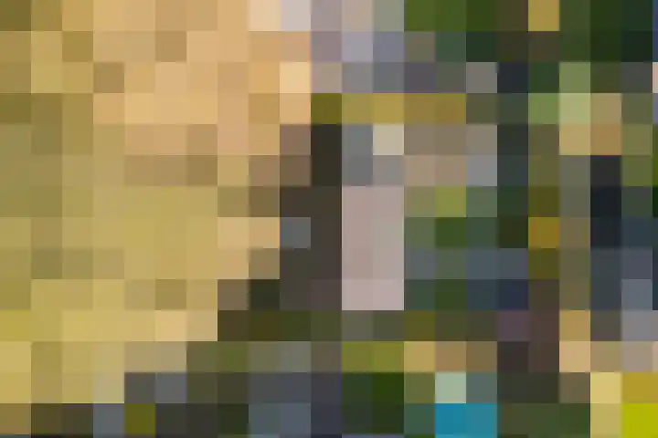 den Herd 2 Reusel thumbnail 65