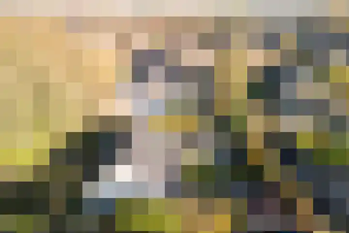 den Herd 2 Reusel thumbnail 66